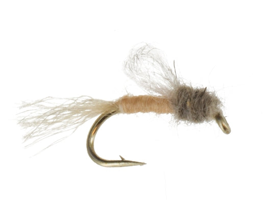 Iris Caddis, Tan