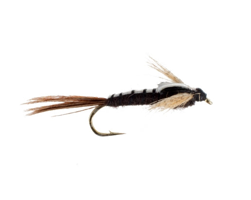 Isonychia Slate Drake