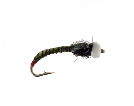 Jojo Chironomid, Olive