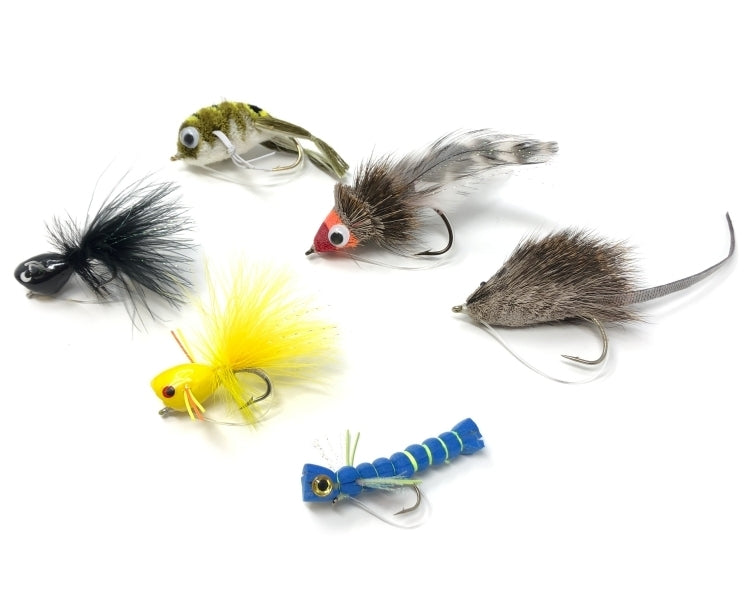 bass lure assortment Bass Fly Assortment Topwater