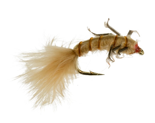 Jumbo Caddis, Orange