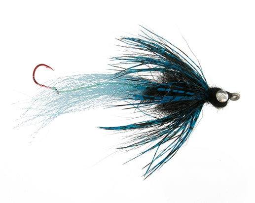 Jumbo Creature, Midnight
