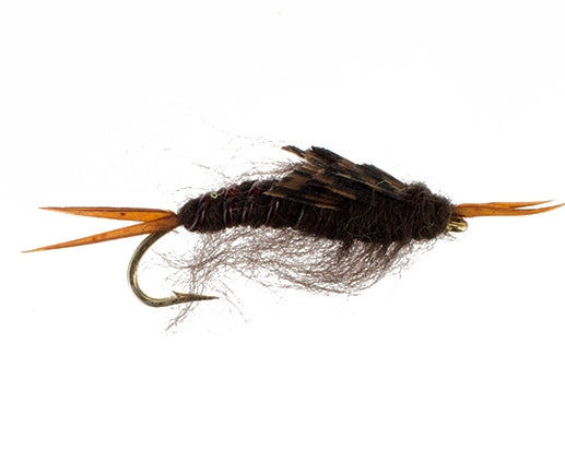 Kaufmann Stonefly, Chocolate