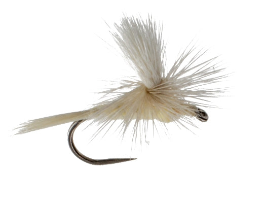 Light Cahill, Parachute Barbless