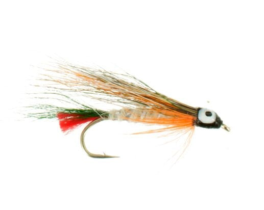 Little Brook Trout