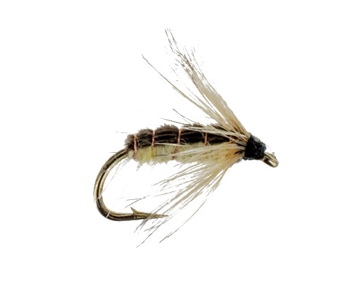 Maggot
