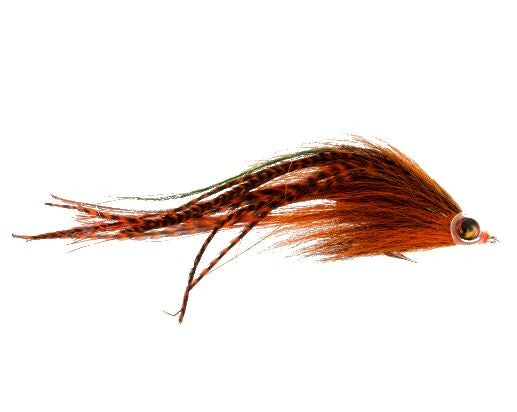 Musky Bandit, Orange and Black
