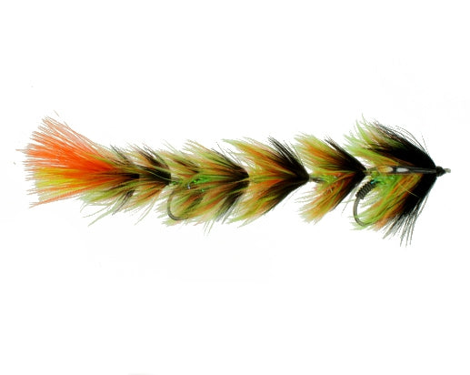 name-changer-featherd-fire-tiger