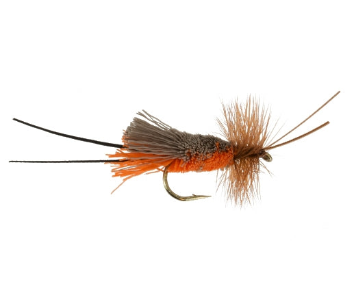 October Caddis