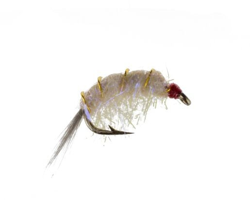 Original Bighorn Scud, Gray