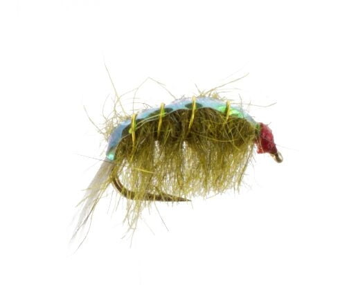 Original Bighorn Scud, Olive