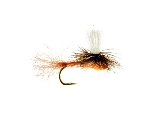 Paraquad, Orange