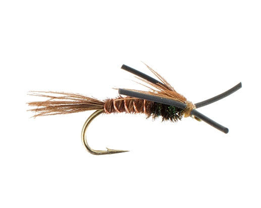Pheasat Tail, Rubberleg