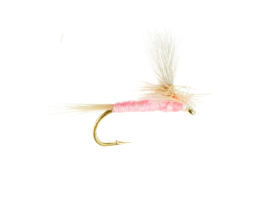 Pink Cahill, Parachute