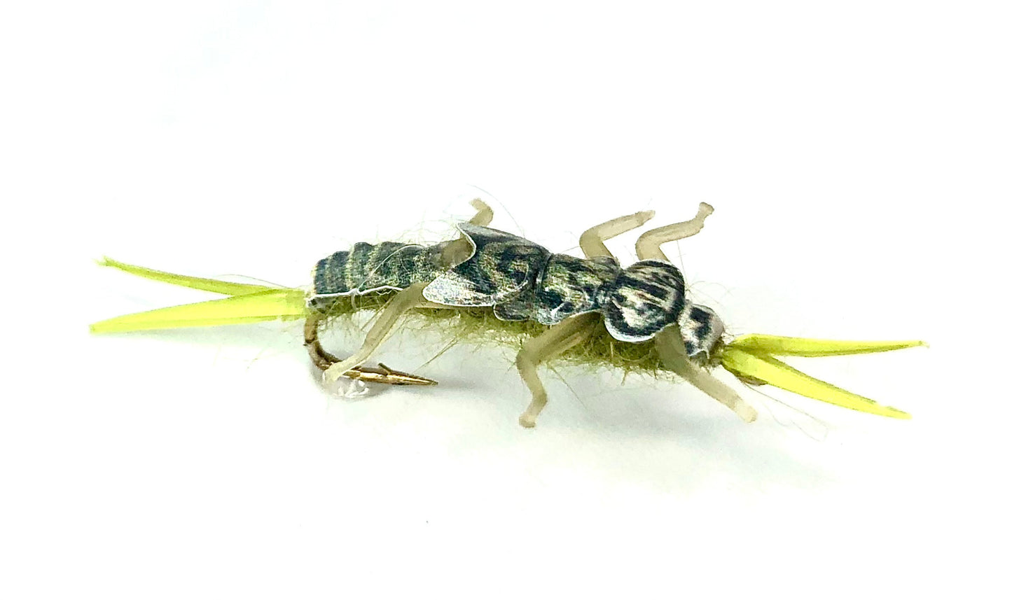 Real Fly Stonefly Nymph, Olive