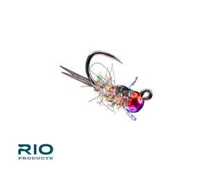 Rio Bug Nugget, Rainbow
