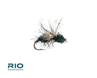 Rio Glitter Ant, Black
