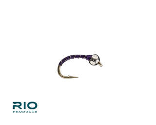 Rio Tungsten Zebra Midge, Purple