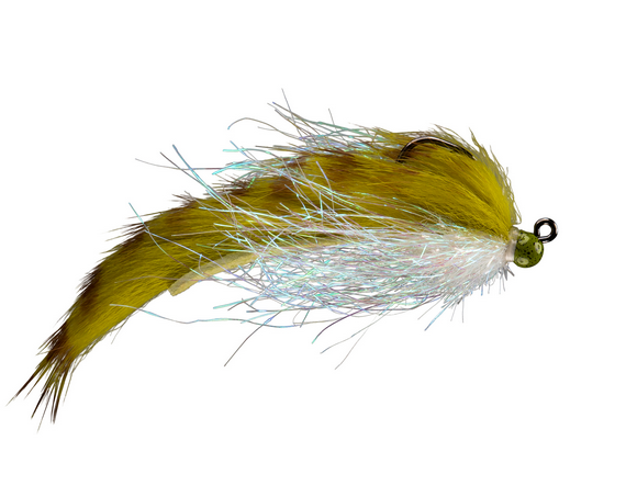 Rio Sir Sticks A Lot, Olive