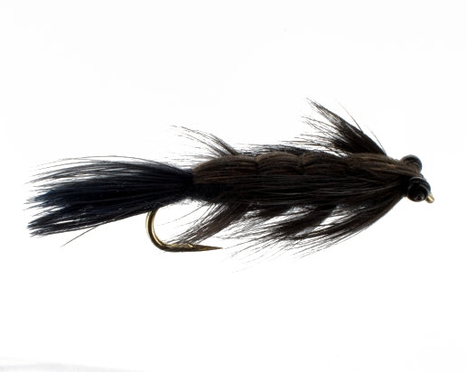 Rump Stonefly