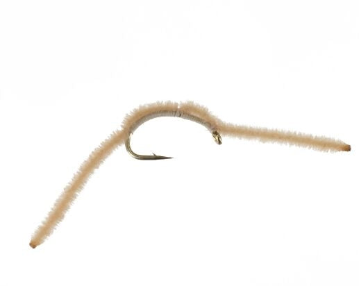 San Juan Worm, Tan