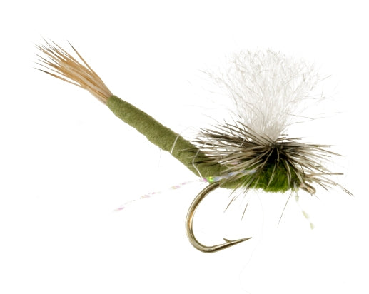 Say Ahh, Olive fly fishing fly