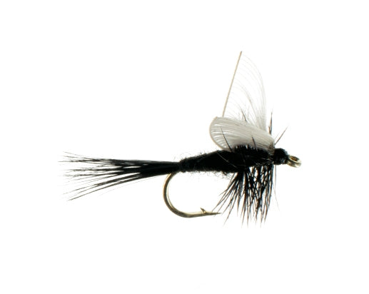 Silhouette Dun, Black