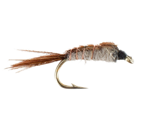 Skip Nymph, Light
