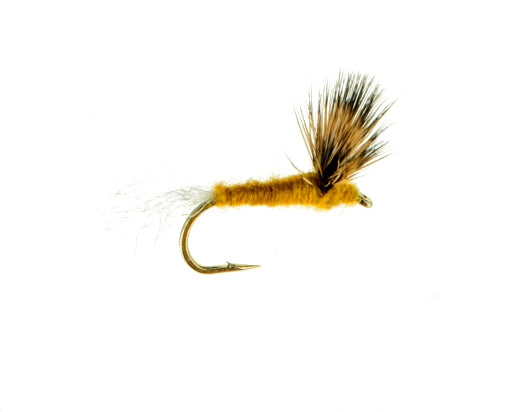 Sparkle Dun, Sulphur, Clear Shuck