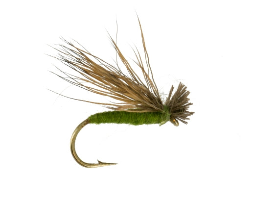 Spent Caddis, Olive