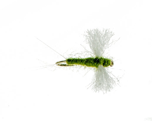 Spinner, Olive