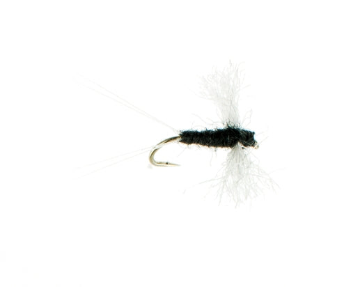 Spinner, Trico, Male