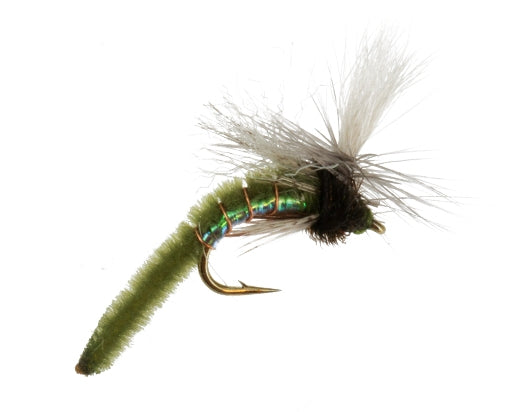 Spotlight Caddis, Olive