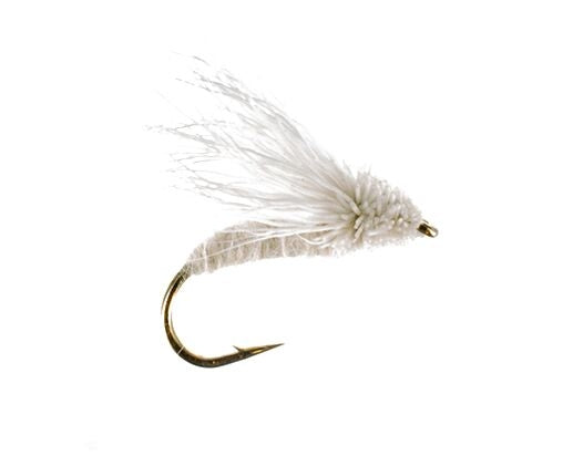 Spruce Moth