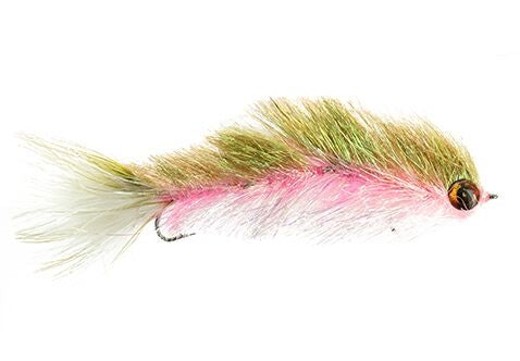 Swim Right Minnow, Rainbow Tandem