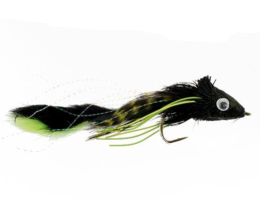Swimming Waterdog
