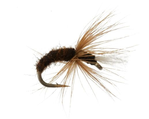 Tenkara Hisashi