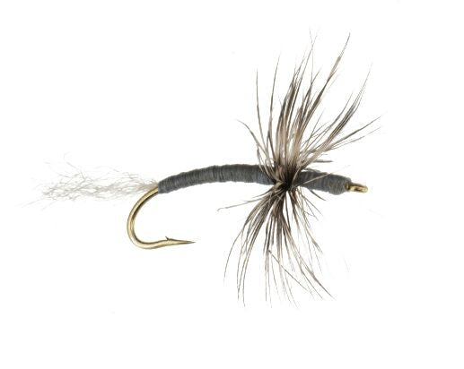 Tenkara Susumu