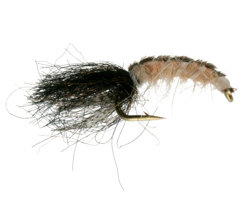 Thin Skin Larva, Tan