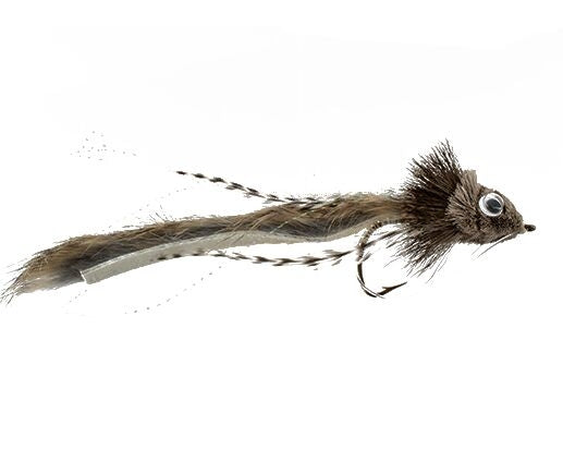 Threadfin Shad