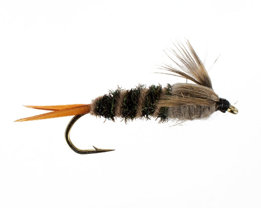 Twenty Incher