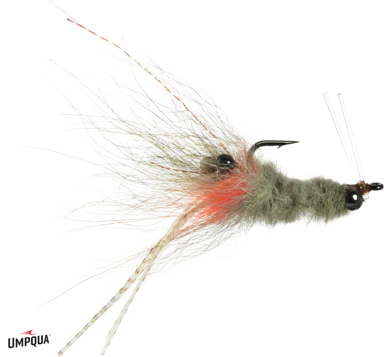 Umpqua Coyote Spawn