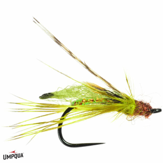 Umpqua Primetime Pupa, Olive