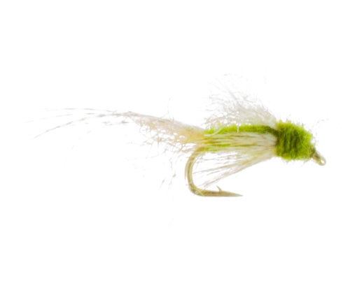 Water Diva, Olive