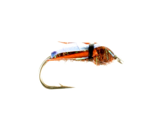 Waterboatman
