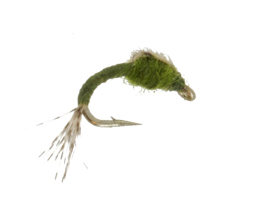 WD 40 Olive, Fly Fishing Flies, Nymphs. Discount flies at theflystop.com. High Resolution.