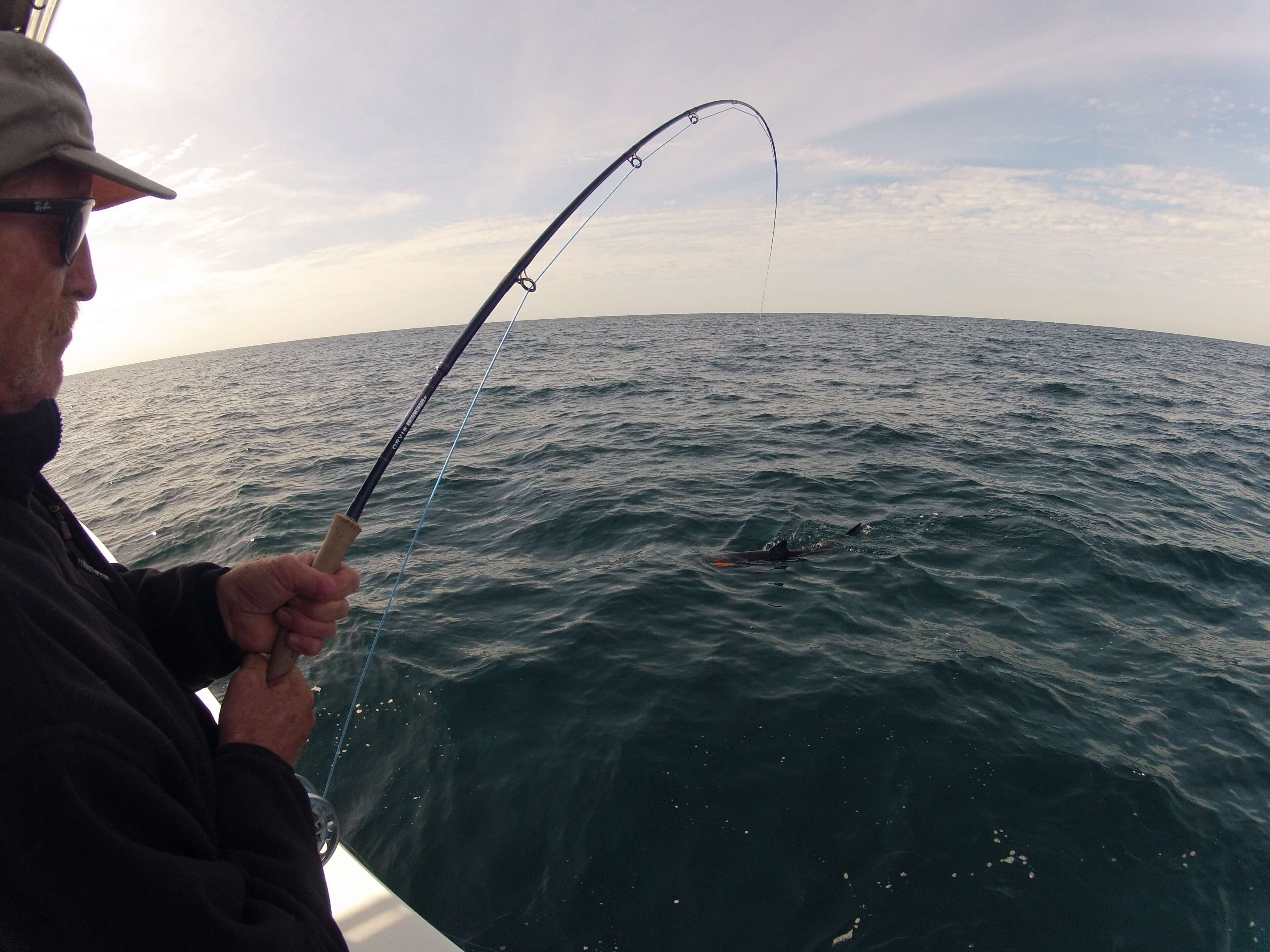 Mako-Shark-Fly-Fishing-San-Diego