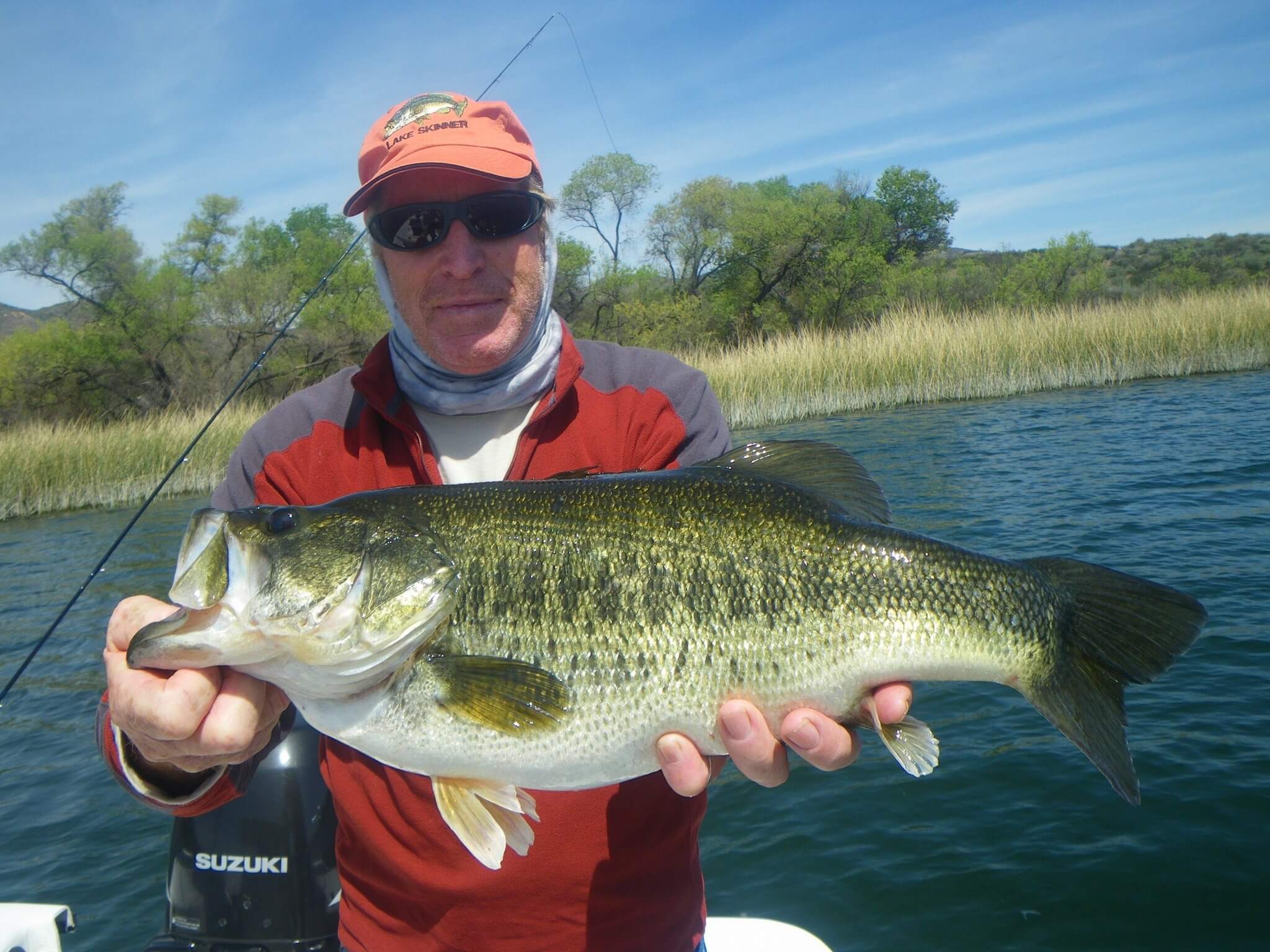 Big bass on the fly-springtime bass-skinner pig-pre-spawn