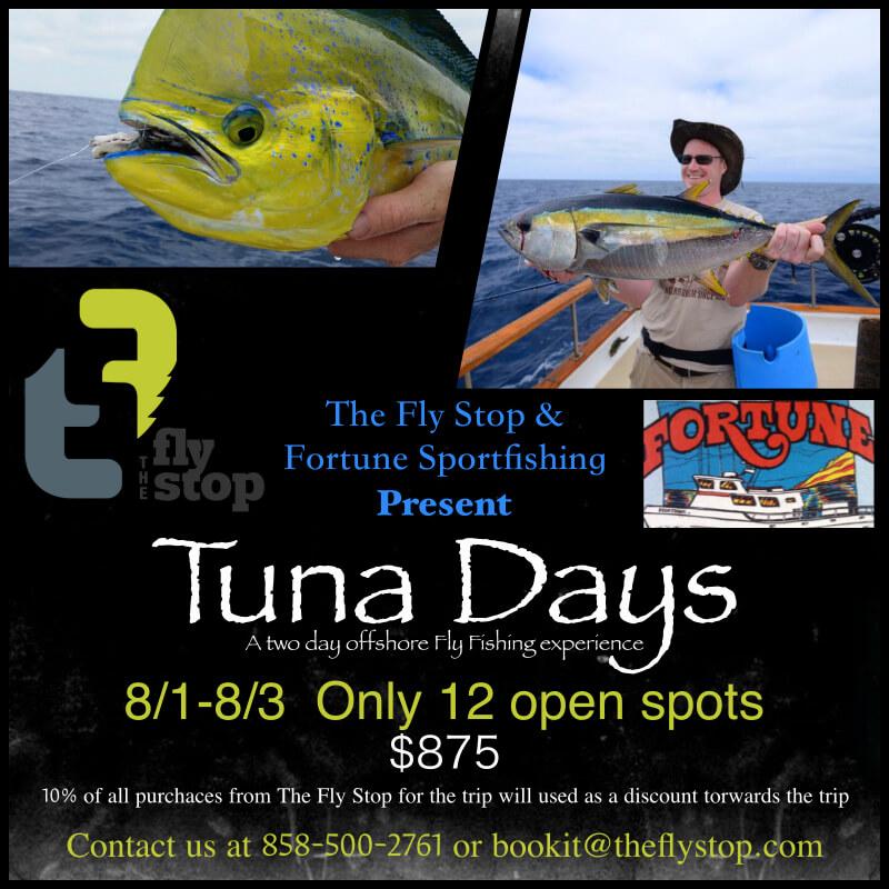 Tuna-Yellowtail-Dorado-Ocean-Fly-Fishing-San-Diego