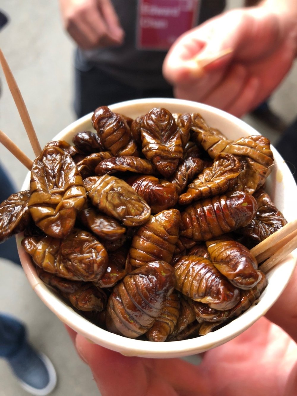 Silkworms-Stewed-in-Soy-Sauce